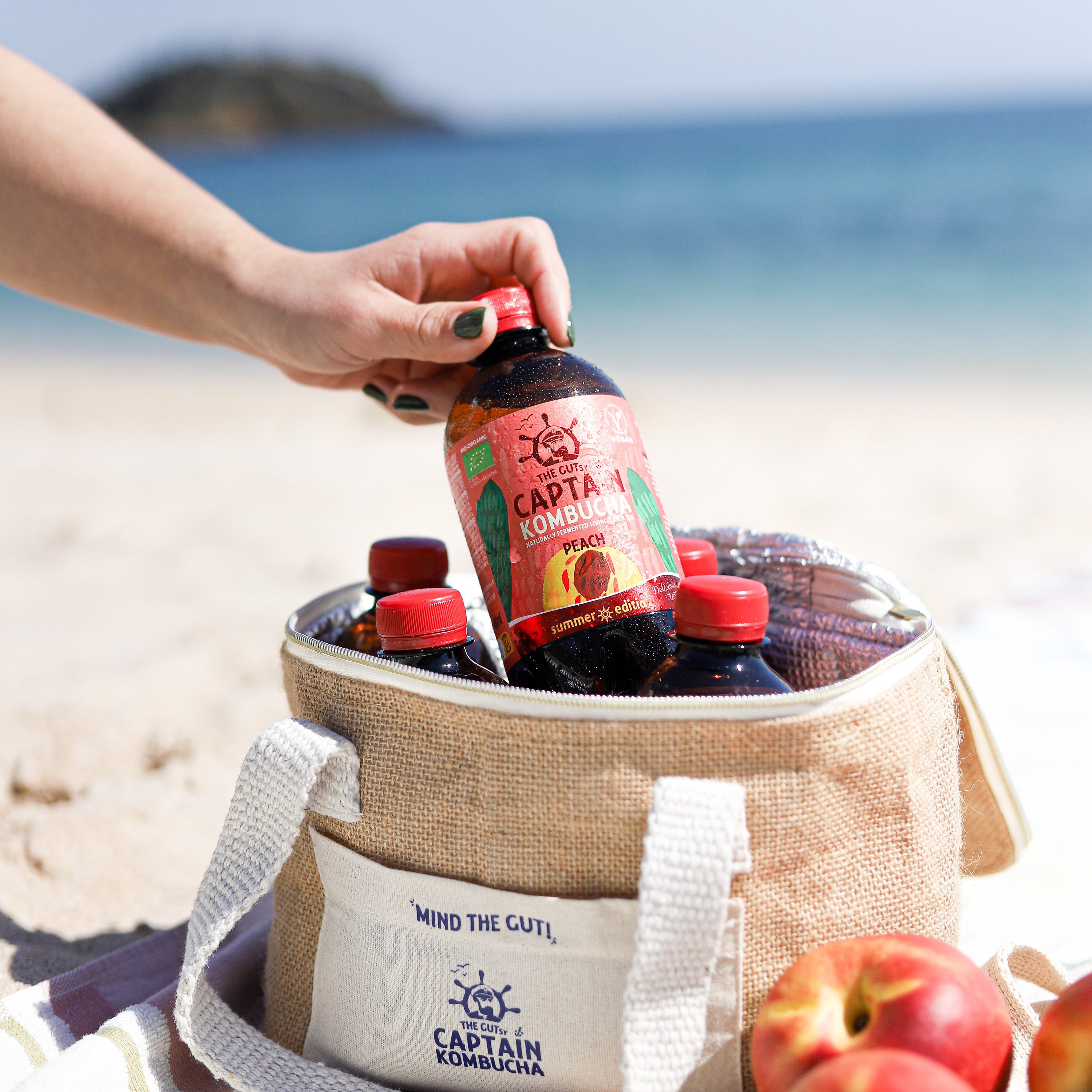 GUTsy Captain Kombucha - Nyári Őszibarack 12 x 400ml