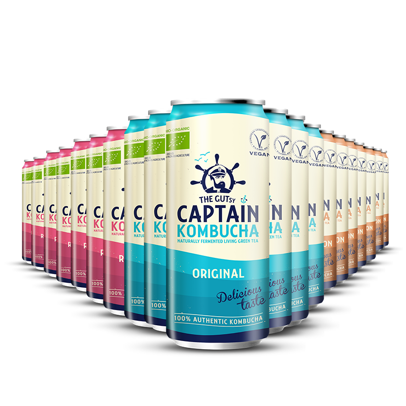 GUTsy Captain Kombucha - Több ízű csomag 20 x 250ml dobozban